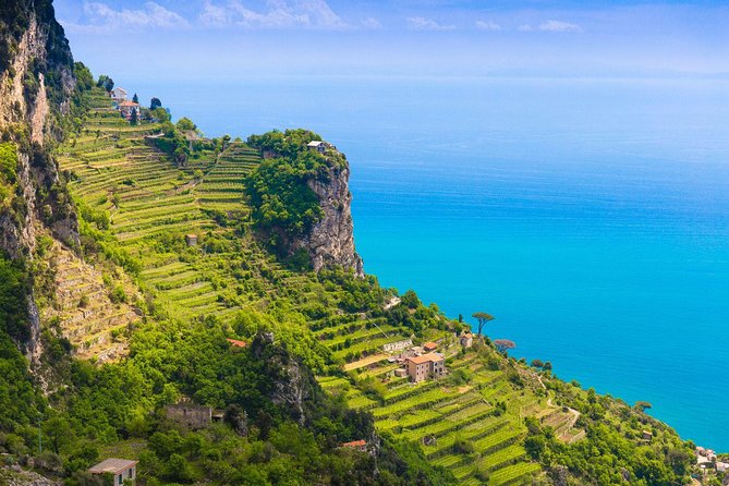 Amalfi Coast Small-Group Day Trip from Rome Including Positano - Price and what $314.97 buys you (and what it doesn’t)