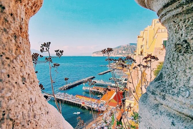 Amalfi Coast with Wine Tasting - Private Driving Tour from Rome - Vesuvius National Park at the foot of the volcano: what the wine tasting actually includes