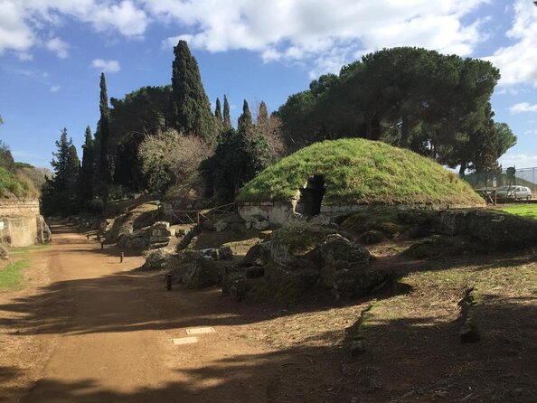 Ancient Etruscan Civilization Tour from Rome - Key highlights worth planning for