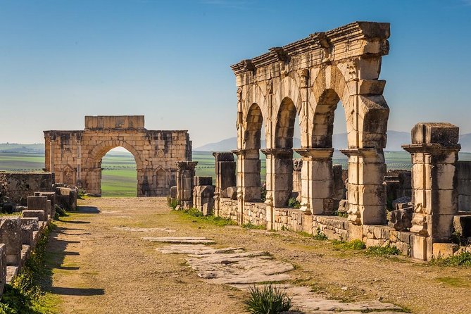 Ancient Ostia from Rome: Archaeology & History, Semi-Private Tour - Looking at everyday Rome: taverns, shops, apartments, and the port town feel