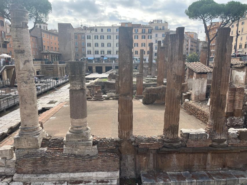 Ancient Rome: Archeological area Largo Argentina - Key points to know before you go
