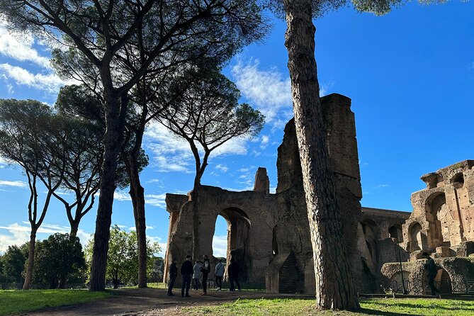 Ancient Rome Discovery: Colosseum, Forum, Palatine Guided Tour - Palatine Hill: where the empire’s homes looked down on Rome