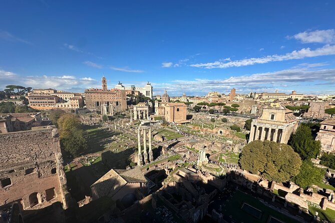 Ancient Rome Discovery: Colosseum, Forum, Palatine Guided Tour - The guide matters more than you think