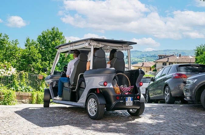 Ancient Rome: Private Golf Cart Tour - St. Peter’s Basilica Finale: A Big Wow Without Needing All Day