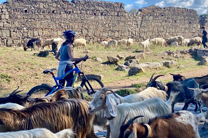 Appian Way & Aqueducts small group e-bike tour(catacombs & food) - Mercato di Campagna Amica and Fonte Acqua Egeria: where the meal has a story