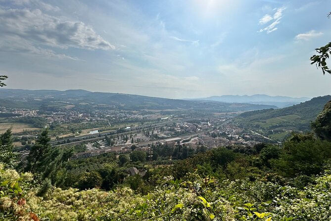 Assisi, Orvieto and Civita di Bagnoregio Full Day Tour from Rome - Assisi on the Hill: St. Francis Country Without the Rush