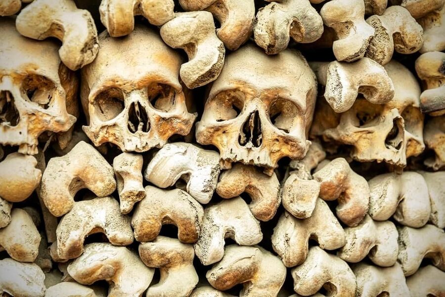 Bone Crypts & S. Clemente ENGLISH tour - tickets included - Capuchin Crypts: six chapels and the story of burial laws
