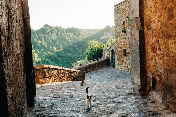 Civita di Bagnoregio and Orvieto - Private Day trip from Rome - Pozzo di San Patrizio: Pope Clement VII’s double-spiral staircase