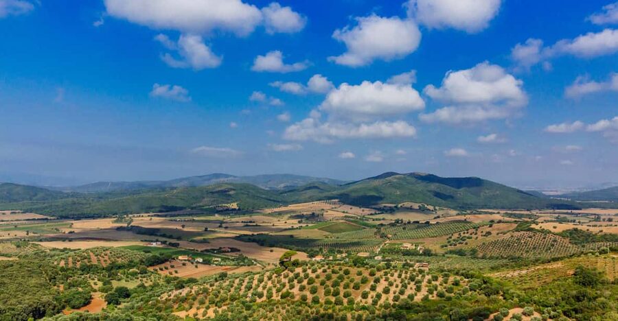 Civitavecchia: Tuscany Full-Day Guided Trip w/Wine Tasting - Why Southern Tuscany From Civitavecchia Makes Sense