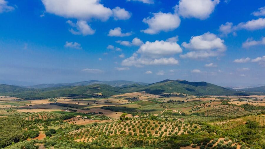 Civitavecchia: Tuscany Full-Day Guided Trip w/Wine Tasting - Timing, Pickup, and the 8-Hour Rhythm
