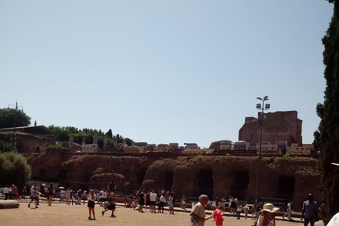 Colosseum and Ancient Rome Express Tour - Crowds, Photo Lines, and How to Have a Calm Day