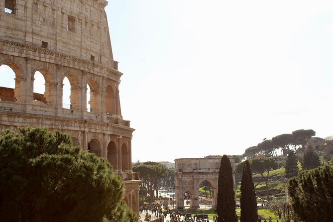 Colosseum and Roman Forum Guided Tour - The Roman Forum: politics, business, and public theatre