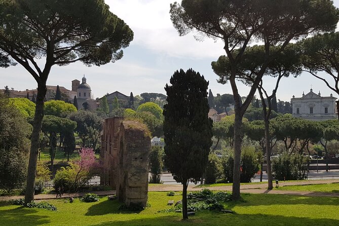 Colosseum Arena Floor and Ancient Rome Semi Private Guided Tour - Roman Forum Highlights: Temples, the Senate House Area, and the Arch of Titus