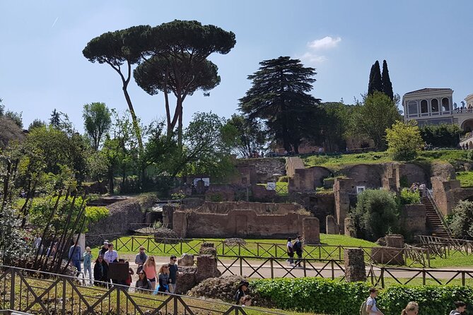 Colosseum Arena Floor Roman Forum and Palatine Hill Live Guide - What you’re really buying with this express Rome route