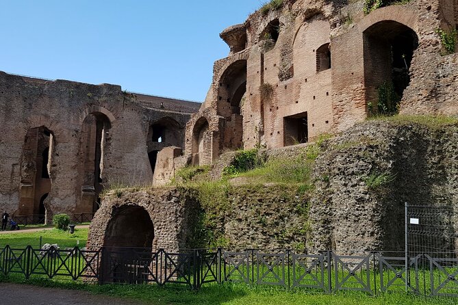 Colosseum Arena Floor Roman Forum and Palatine Hill Live Guide - Meeting point and how not to lose your start time