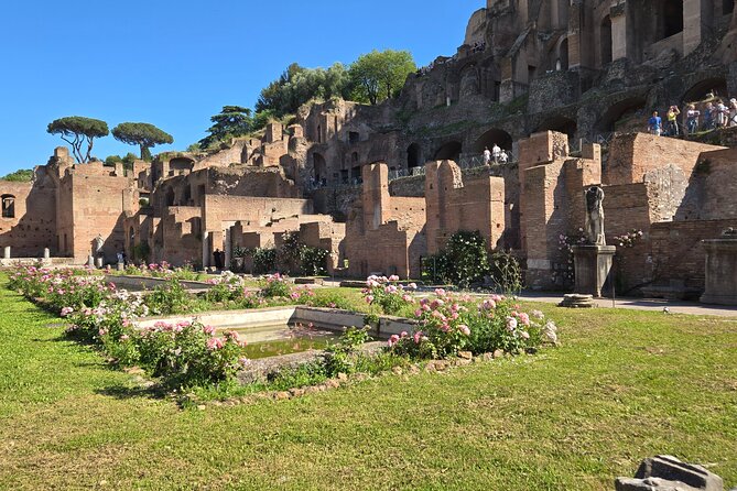 Colosseum Arena Floor, Roman Forum & Palatine Hill Guided Group Tour - Should You Book This Colosseum, Forum, and Palatine Hill Tour?
