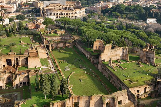 Colosseum,Arena,Palatine Hill & Roman Forum with Audio Guide App - Meeting at the Arch of Constantine (and Why It Matters)