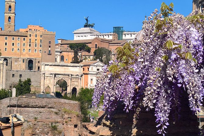 Colosseum en Forum Romanum in het Nederlands - Via Sacra and the Temple Stops: The Forum’s “Read Between the Stones” Moment