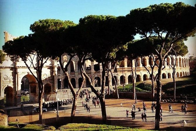 Colosseum Express Tour - What You’ll Actually See In That 1-Hour Window