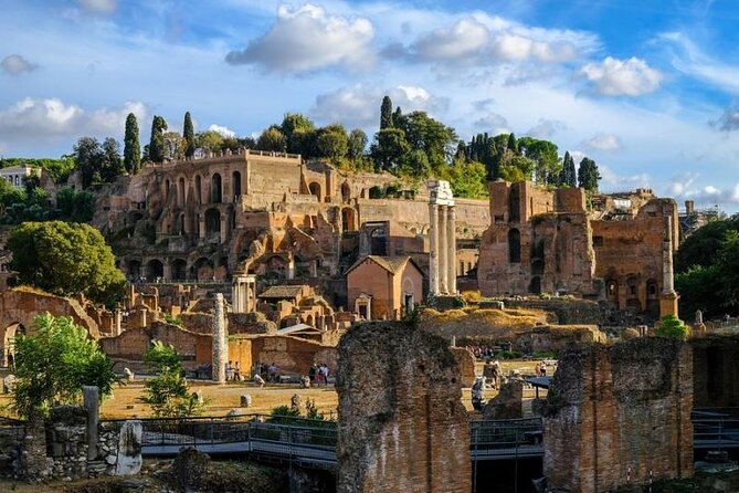 Colosseum, Palatine hill and Roman forum Access with audio guide - Palatine Hill: where the views tend to win the trip