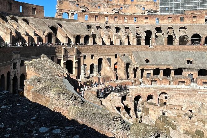 Colosseum, Palatine Hill and Roman Forum Guided Group Tour - Price and value: why $24 can work (and when it doesn’t)