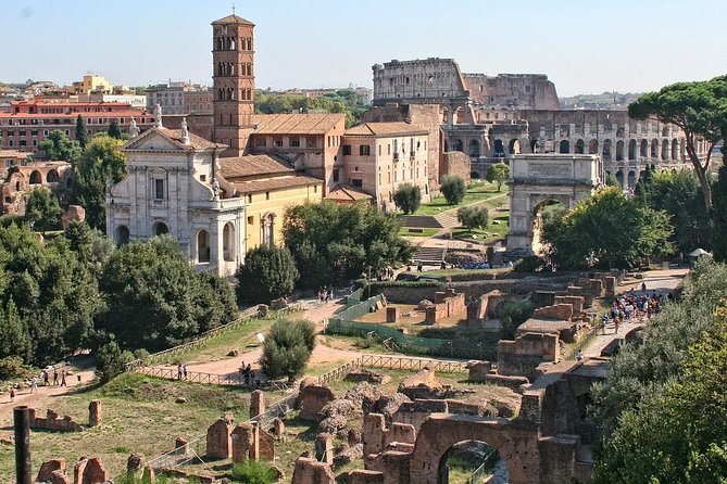 Colosseum, Palatine Hill, and Roman Forum Private Tour - Roman Forum: the politics and daily power behind the ruins