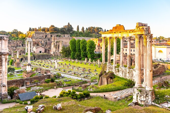 Colosseum, Roman Forum and Palatine Hill Guided Walking Tour - Roman Forum: Markets, Temples, and Public Life on Foot