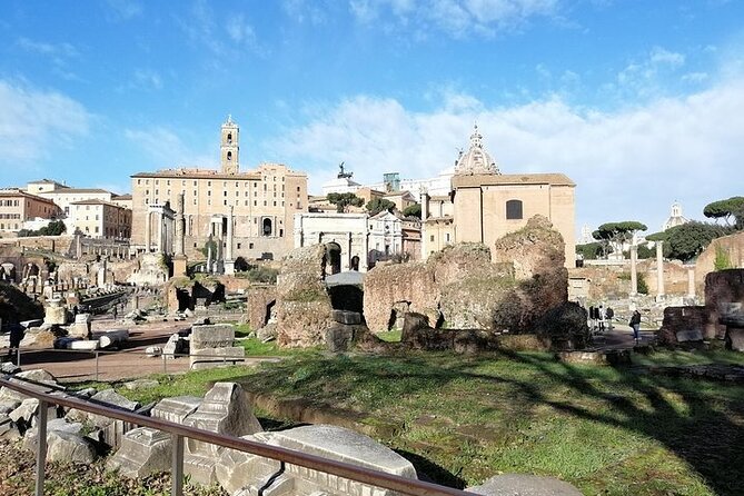 Colosseum, Roman Forum and Palatine Hill- Private Tour - Roman Forum stop (1 hour 30 minutes): politics you can walk through