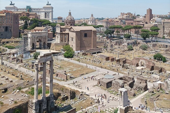 Colosseum, Roman Forum and Palatine Hill- Private Tour - Palatine Hill stop (30 minutes): myth, sacred spaces, and the imperial big leagues