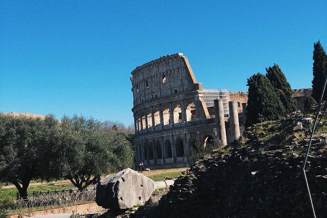 Colosseum, Roman Forum, Palatine Hill Experience - Palatine Hill: imperial homes and the Forum-overview effect