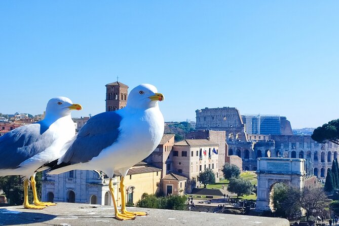 Colosseum, Roman Forum & Palatine Hill - Group Tour - Why the Colosseum + Forum + Palatine combo fits 2.5 hours
