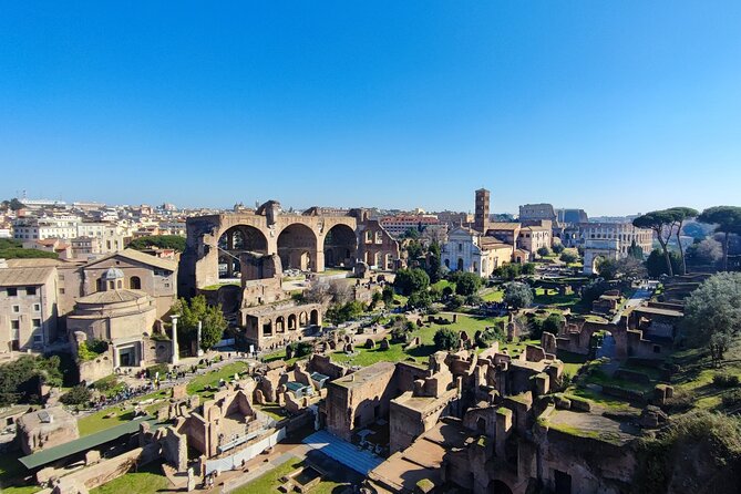 Colosseum, Roman Forum & Palatine Hill - Group Tour - Outdoor time, heat, and walking: plan like you mean it