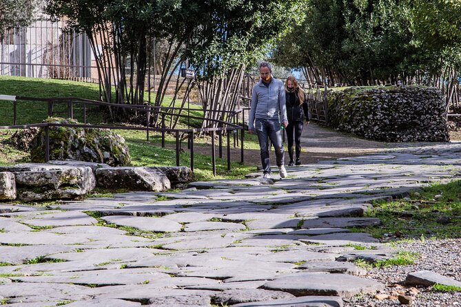 Colosseum Underground and Dungeons Special Access Walking Tour - Logistics that actually matter: meeting point, names, and getting in