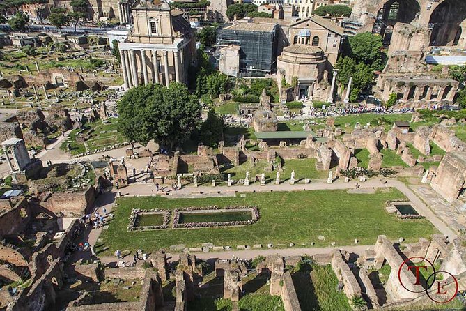 Colosseum with Gladiator Arena Floor, Forum & Palatine Hill Tour - What $139.13 Really Buys You (Tickets Plus Arena Access)
