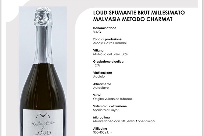 Course in Rome: Wine Education with Food - mini sommelier course - Your Sommelier’s Job: Learning to Recognize Qualities (Not Memorize Labels)