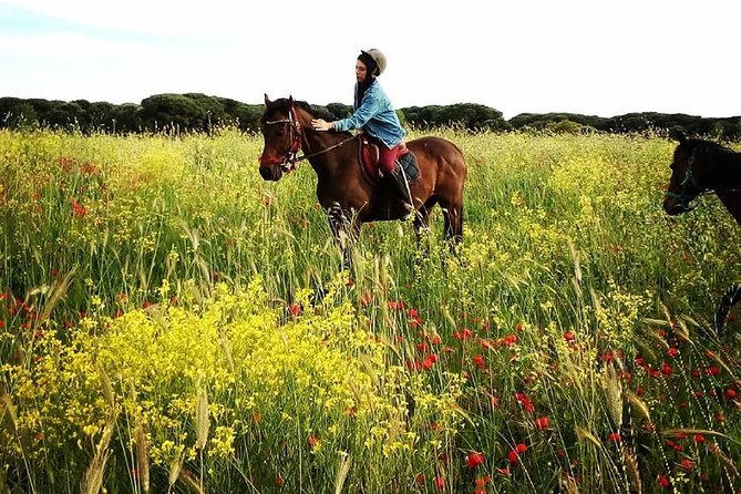 Daily out of Rome : Horseback ride with meals & wine included - Lunch and the pace reset you’ll appreciate