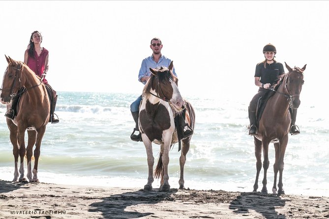 Daily out of Rome : Horseback ride with meals & wine included - Ending with wine tasting in a village square