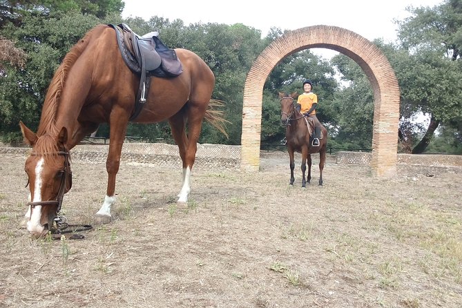 Daily out of Rome : Horseback ride with meals & wine included - Price and value: is $325.60 a fair deal?