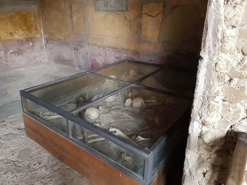 Day Trip from Rome: Explore Pompeii & Sorrento Amalfi Coast - Getting to Pompeii smoothly: transport, meeting point, and timing