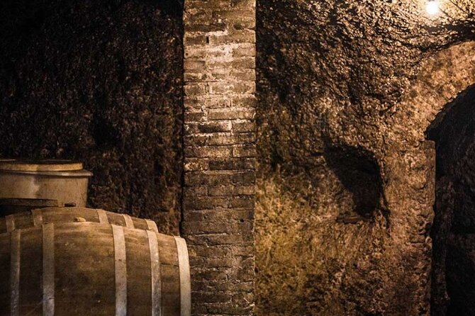 Frascati Day Tour: Road from Rome with Wine Tasting & Lunch - Getting to Frascati: the train part that actually makes sense