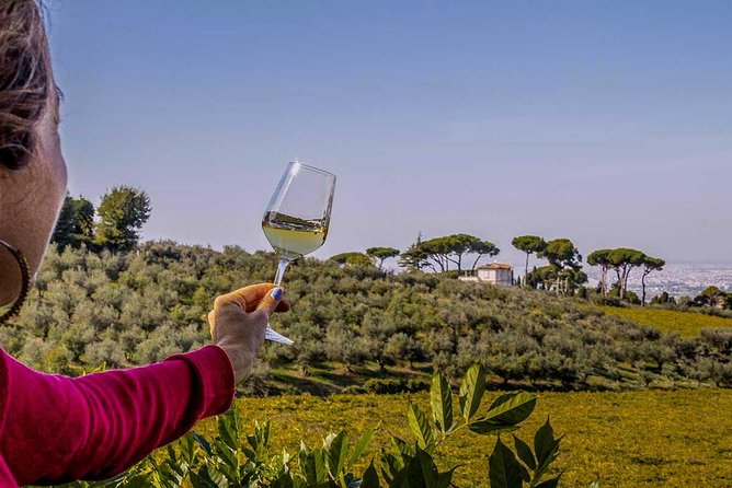 Frascati Wine Tasting Tour: The Flavors of the Roman Countryside - Price and Logistics: Is $111.74 Good Value?
