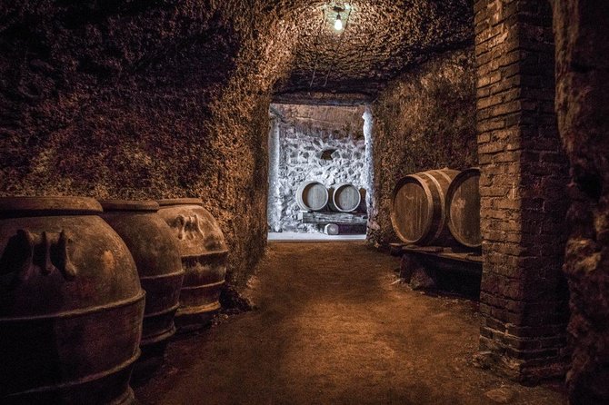 Frascati Wine Tasting Tour: The Flavors of the Roman Countryside - Who This Tour Fits Best (and Who Might Skip It)