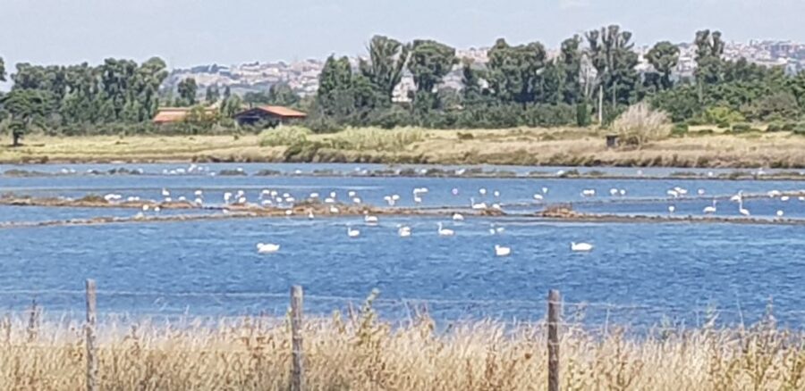 From Civitavecchia: Tarquinia & Unesco Site Visit with Lunch - Small group value: tickets handled, time protected, and the guide factor