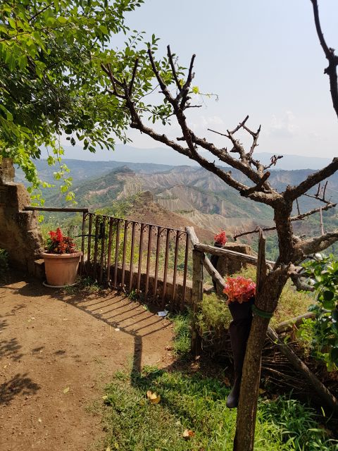 From Civitavecchia: the Dying City and Monster Park Tour - The Transfer That Turns a Cruise Day Into Real Countryside Time