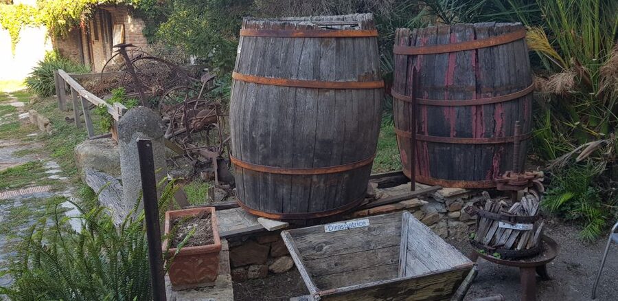 From Civitavecchia: Tuscany-Latium Wine Tour with Tastings - Should you book this wine tour from Civitavecchia?