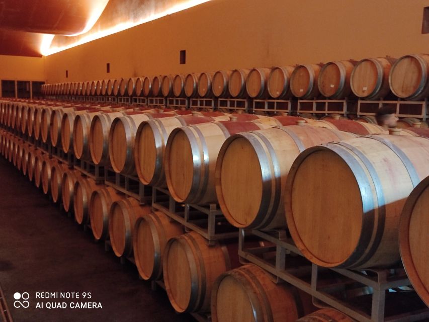 From Civitavecchia: Tuscany-Latium Wine Tour with Tastings - What to bring, what to wear, and how not to trip up