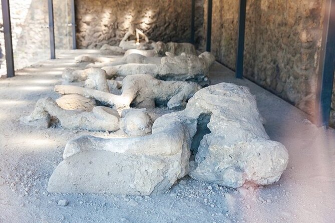 From Rome: Best of Pompeii Guided Tour and Sorrento Day Trip - Lunch Timing: Optional, Convenient, and Built Into the Schedule