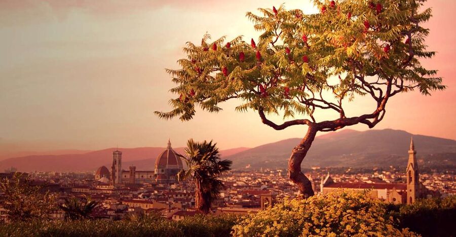 From Rome: Day Trip to Florence by High-Speed Train - Rome Morning: Meeting at Bar Caffè Trombetta (Via Marsala)