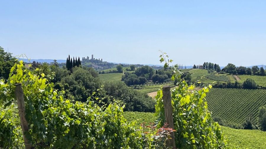 From Rome: Florence & Tuscany Day Tour by High-Speed Train - Price and Value: does $231.20 make sense for what’s included?