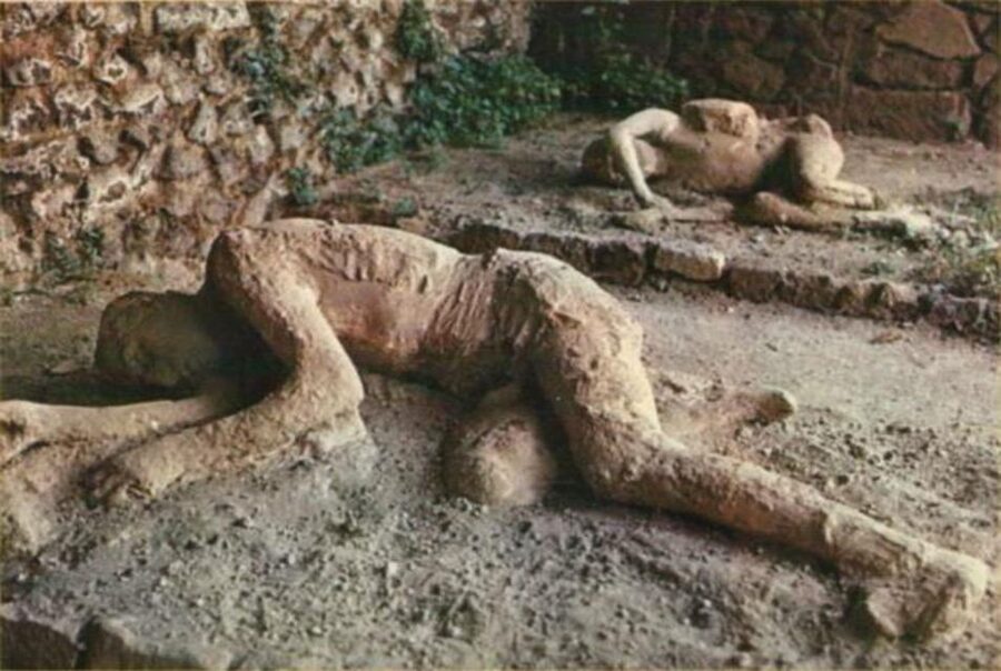 From Rome: Pompeii All-Inclusive Tour with Live Guide - Return to Rome: when you’ll be done